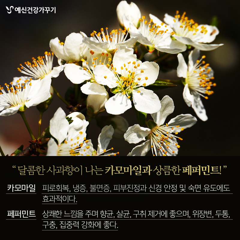 170516_컨텐츠_건강_03.jpg